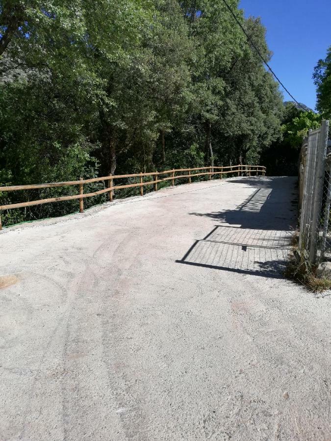 Alojamientos Rurales Vado Ancho La Encina Arroyo Frio Esterno foto